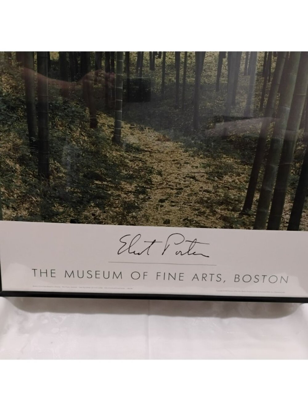 Vintage Eliot Porter Framed Bamboo Forest Museum Poster - 36" Large Wall Art - Picture 2 of 9
